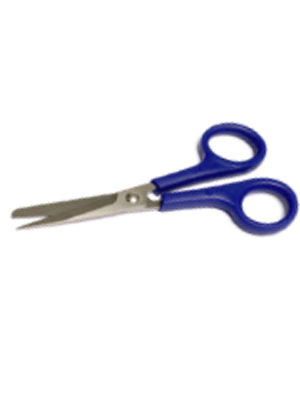 Scissors S/B Ergo Hndl 12.5cm Strl Sage