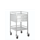 Trolley Stainless Steel 2 Drawer 500x500x900