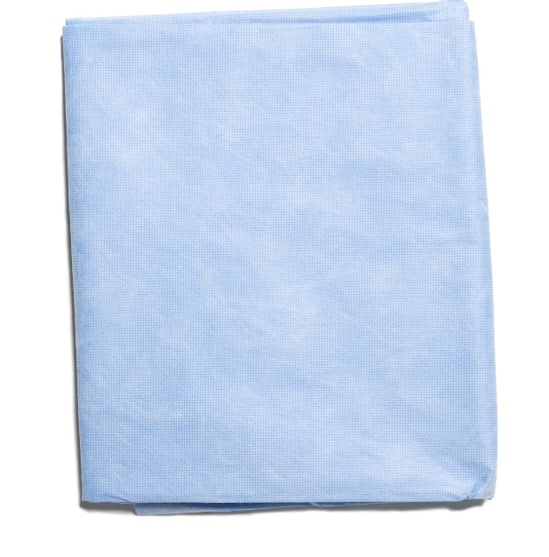 HALYARD* Stretcher Sheet, Blue, 101 x 213 cm