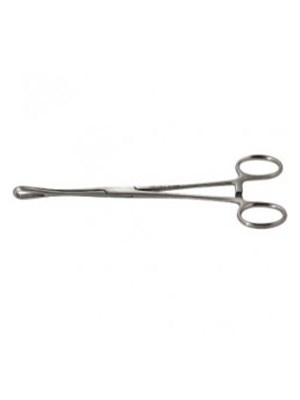 Sponge Holding Forceps Stainless Steel 25cm